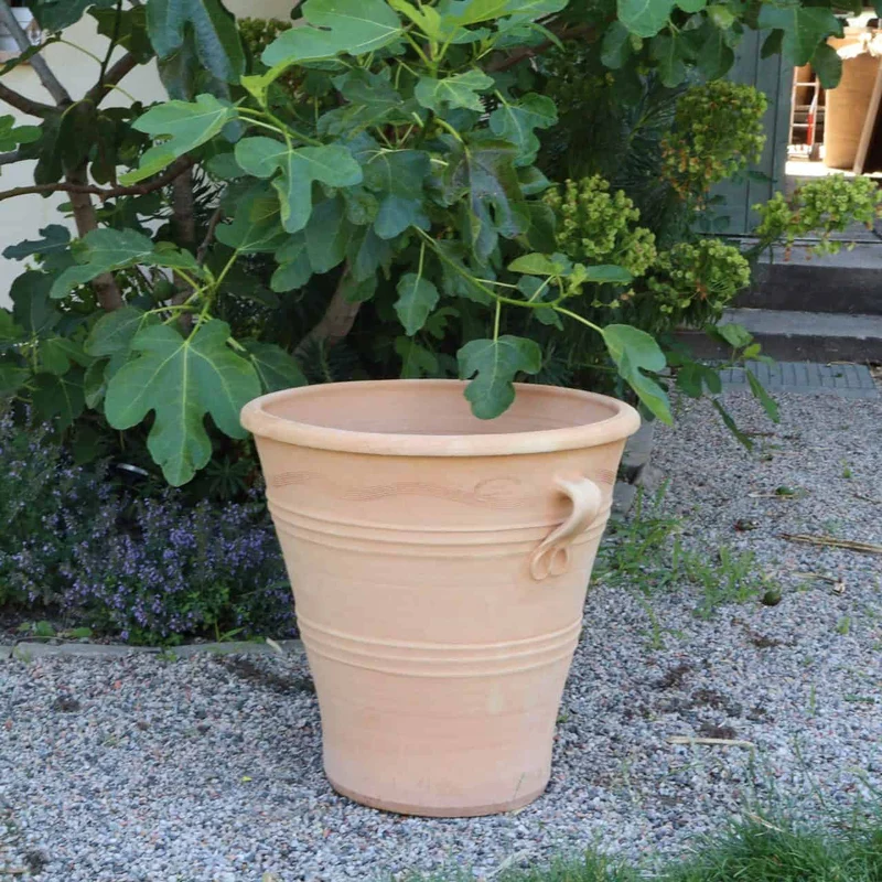 Blumentopf Gross "Salvia", H=50 cm