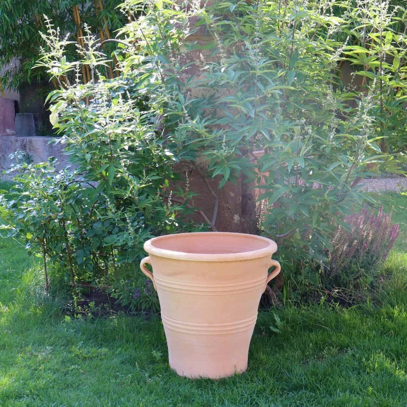 Blumentopf Gross "Salvia", H=50 cm