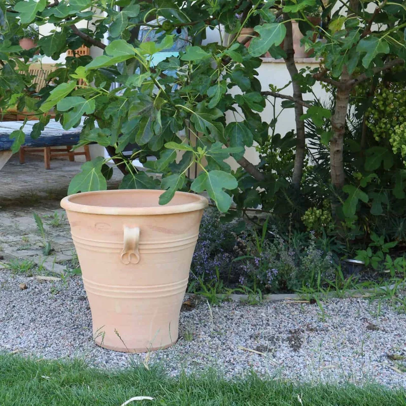 Blumentopf Gross "Salvia", H=50 cm