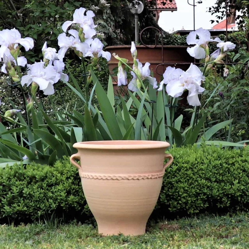 Terracotta Pflanzkübel "Rosa 2", H=35cm