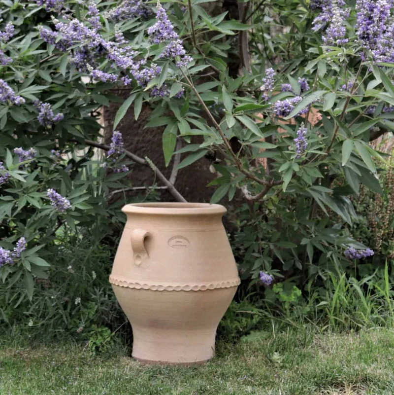 frostfeste Terrakotta Amphore "Thymus 2" H=40cm