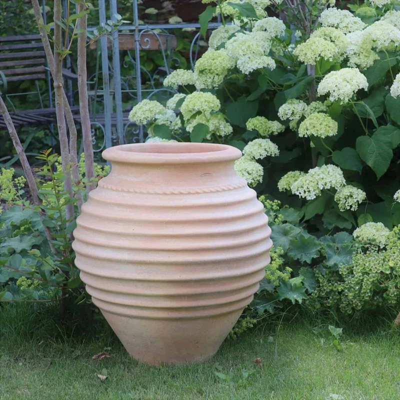 terracotta Amphore Garten „Ficus“ H=60cm