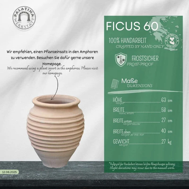 terracotta Amphore Garten „Ficus“ H=60cm