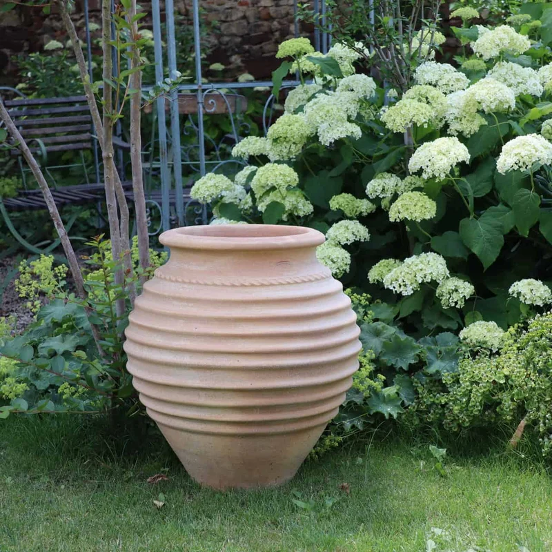 terracotta Amphore Garten „Ficus“ H=60cm