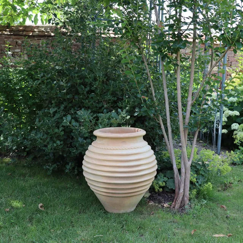 terracotta Amphore Garten „Ficus“ H=60cm