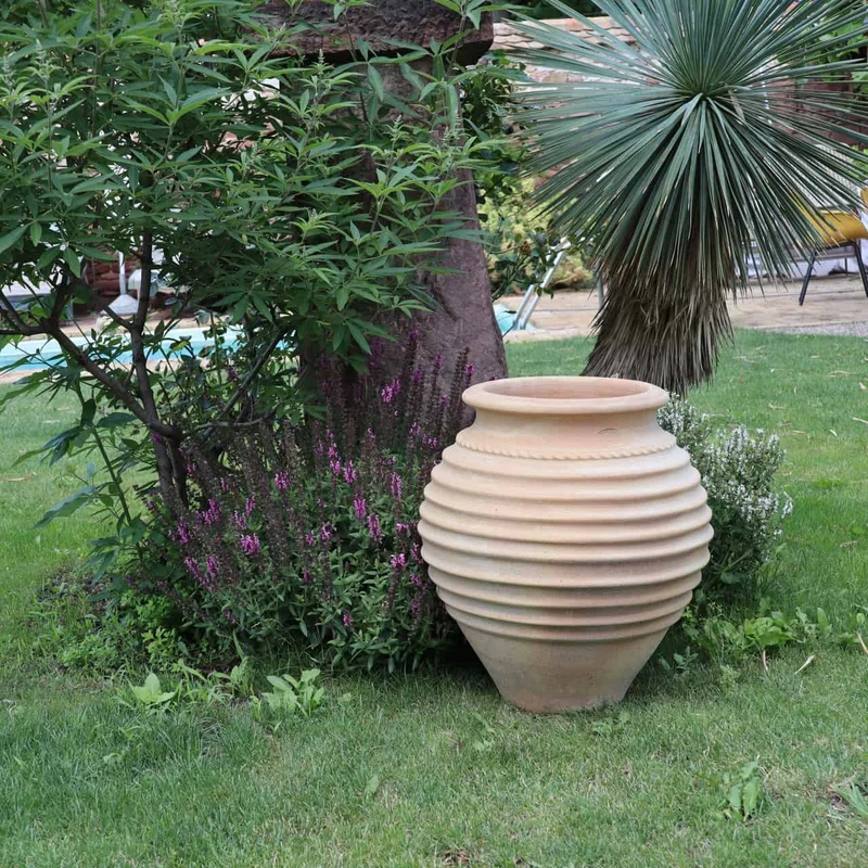 terracotta Amphore Garten „Ficus“ H=60cm