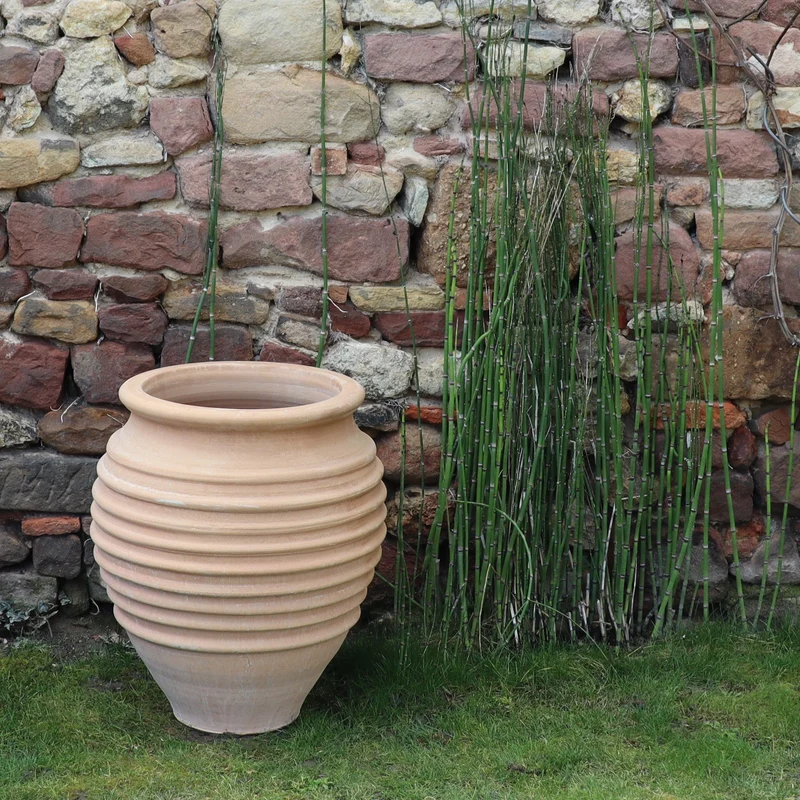 terracotta Amphore Garten „Ficus“ H=60cm