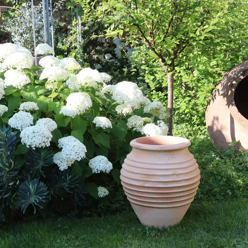 terracotta Amphore Garten „Ficus“ H=60cm