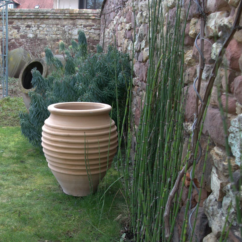 terracotta Amphore Garten „Ficus“ H=60cm