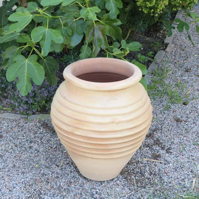 terracotta Amphore Garten „Ficus“ H=60cm