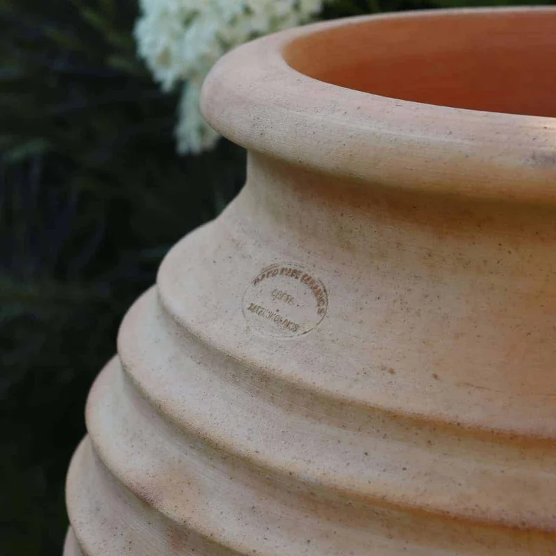 terracotta Amphore Garten „Ficus“ H=60cm