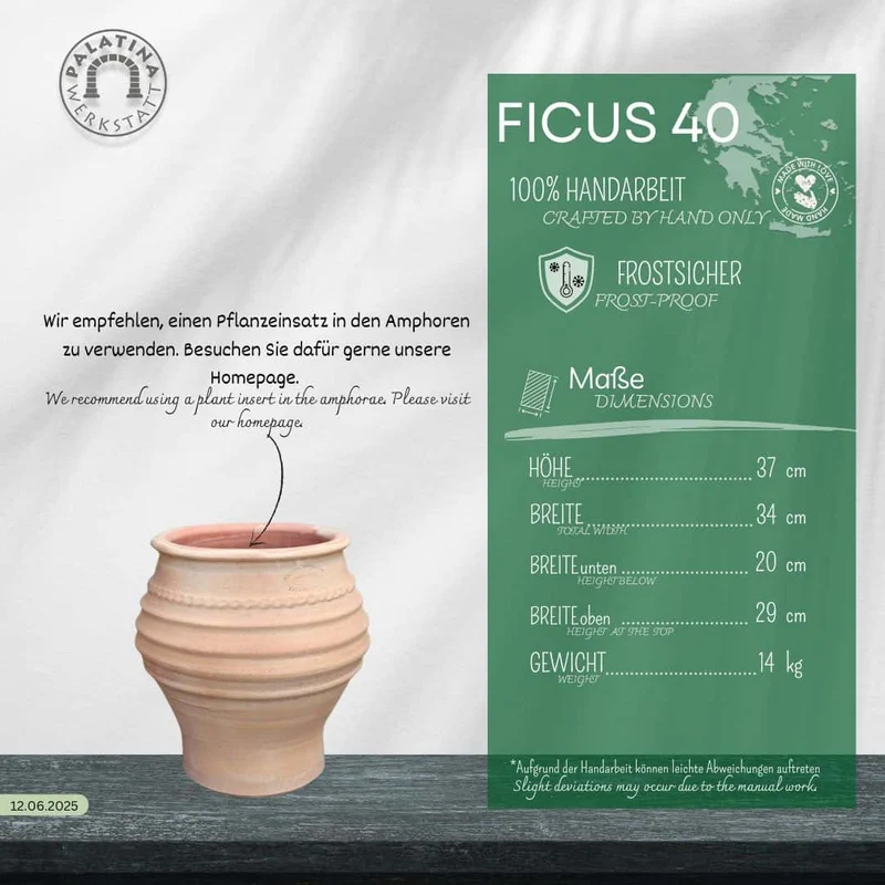 kleine Pflanzamphore "Ficus", H=40cm