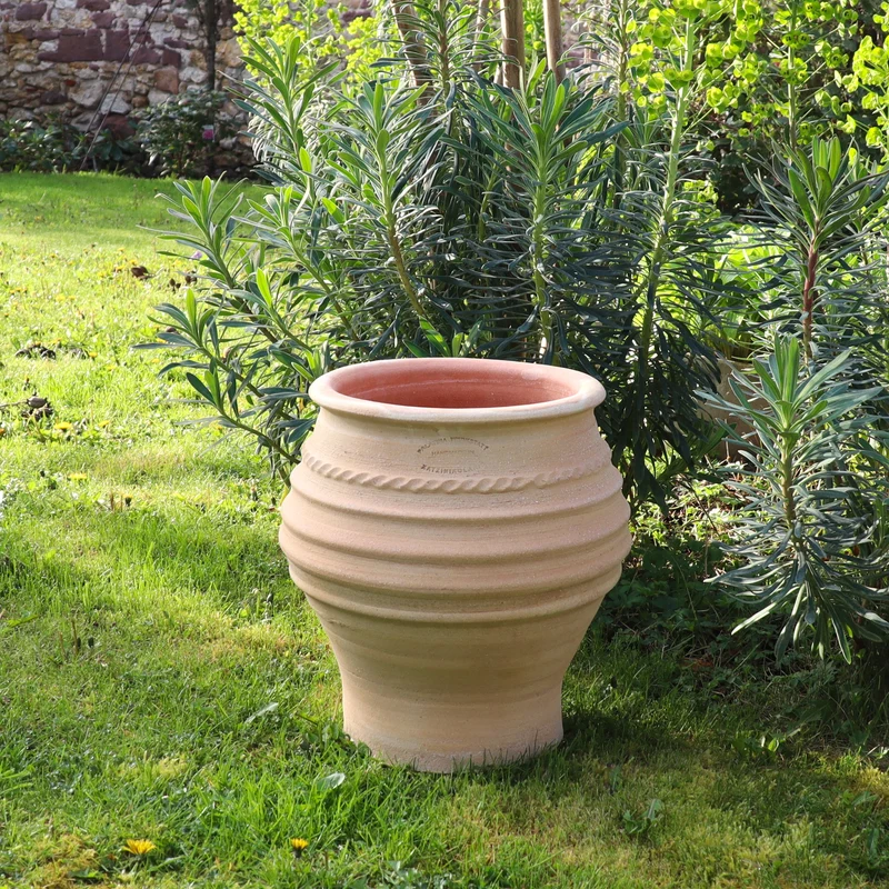 kleine Pflanzamphore "Ficus", H=40cm