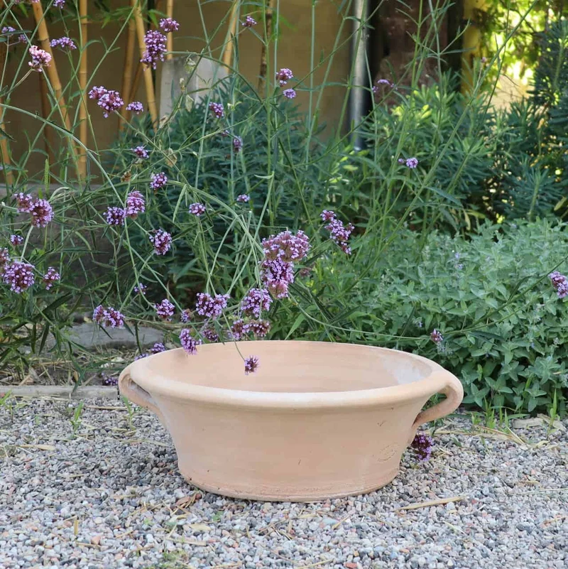 Terracotta Pflanzschale, Wasserschale, Vogeltränke "Crocus", B=35