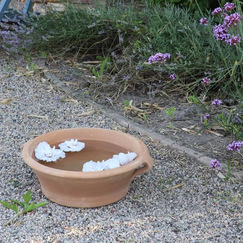 Terracotta Pflanzschale, Wasserschale, Vogeltränke "Crocus", B=35