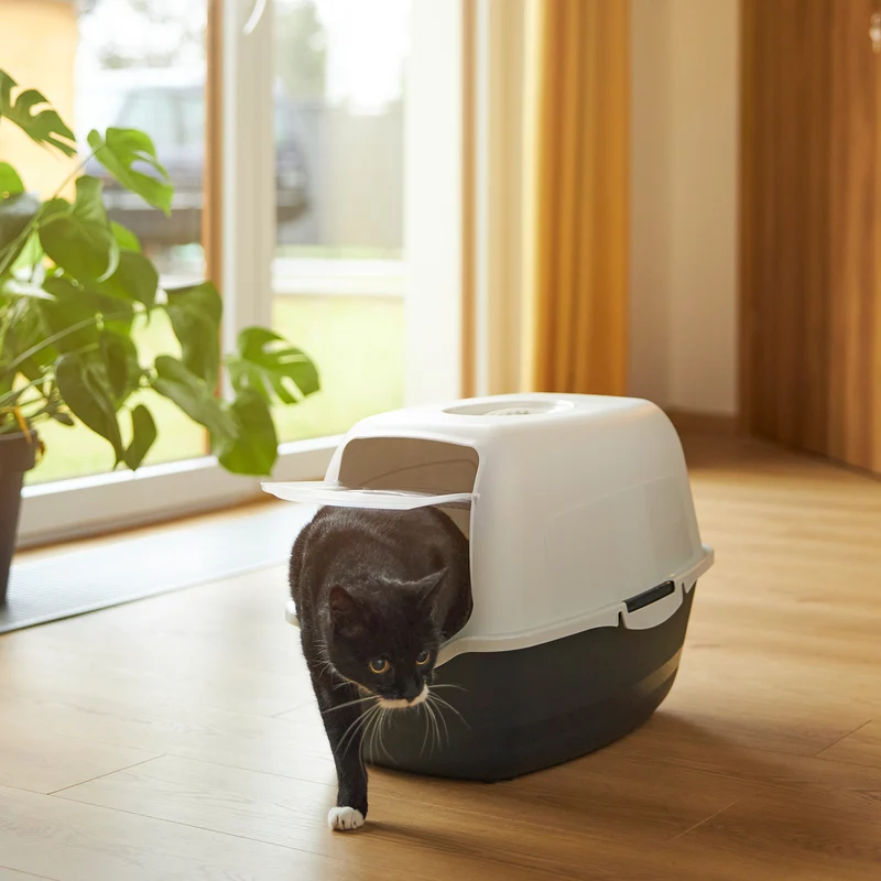 Katzentoilette Eco BAILEY