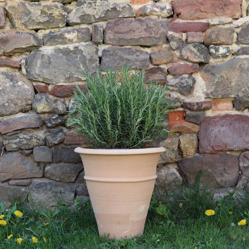 winterfester Terracotta Blumentopf "Yucca", H=30 cm
