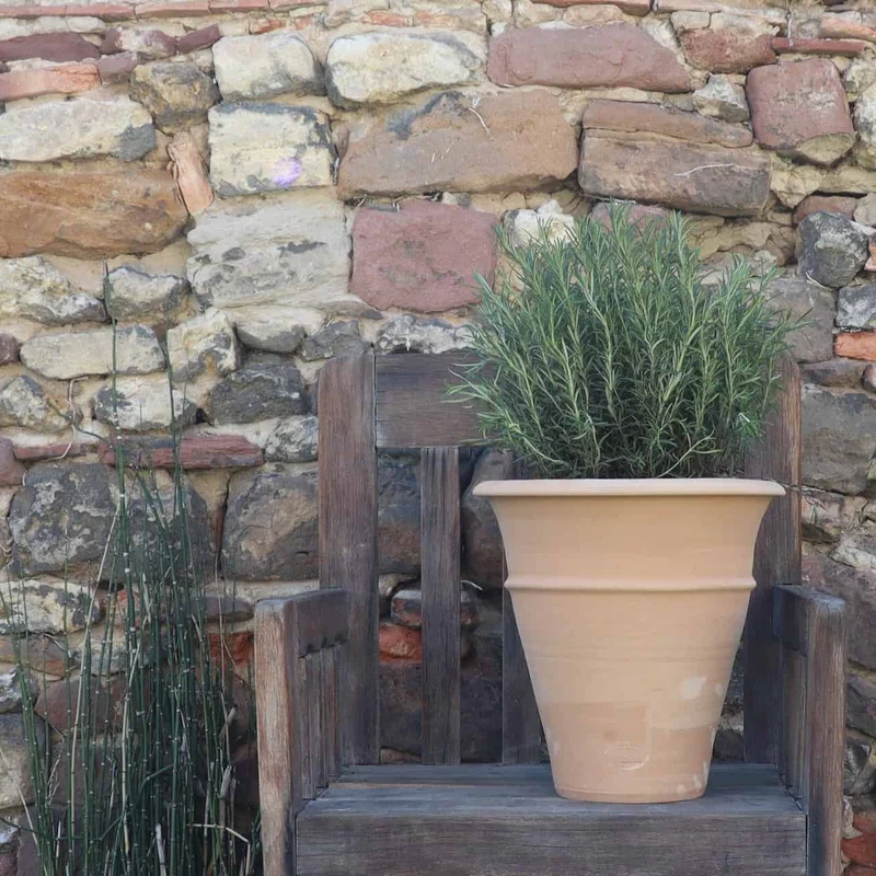 winterfester Terracotta Blumentopf "Yucca", H=30 cm