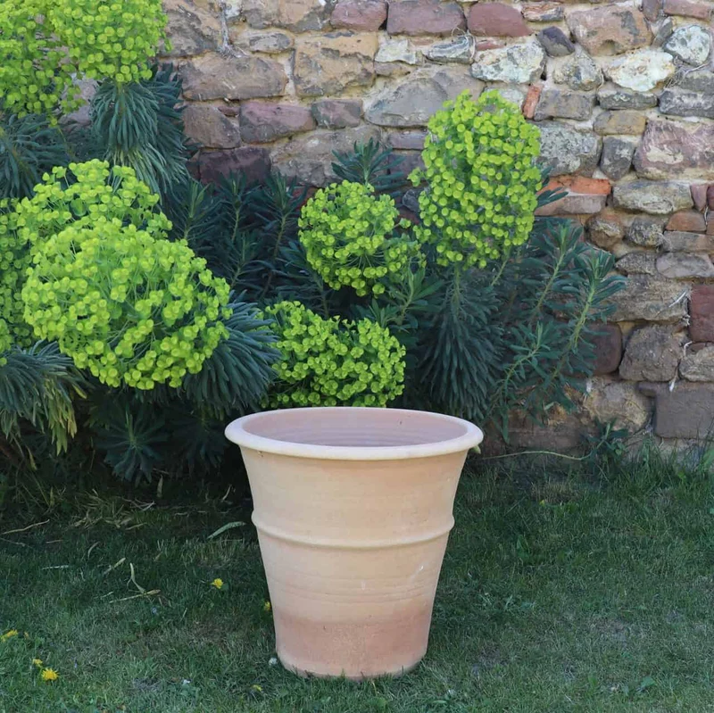 winterfester Terracotta Blumentopf "Yucca", H=30 cm