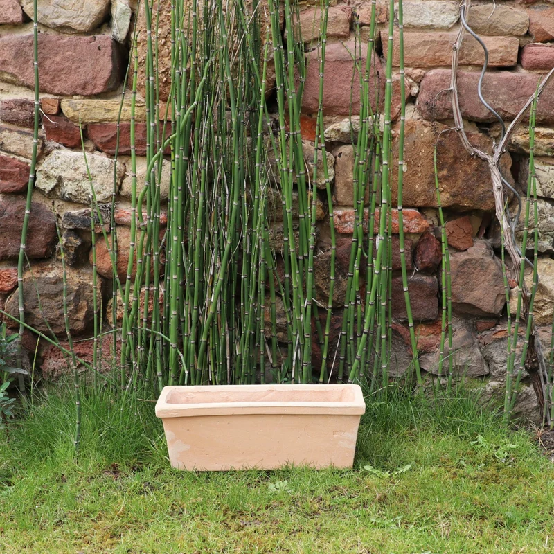 rechteckiger Pflanzkasten Terrakotta "Erica" L=40 cm