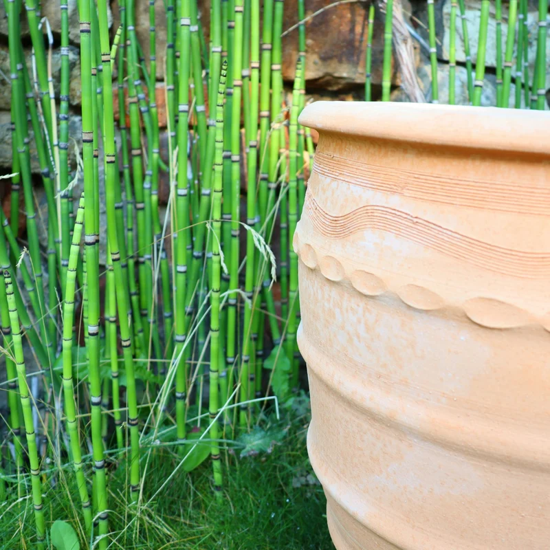Terracotta Blumentopf "Granatum", 50cm