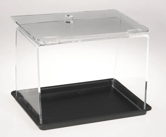 Acryl-Snackspender mit Deckel & Tablett – Food Display für Snacks