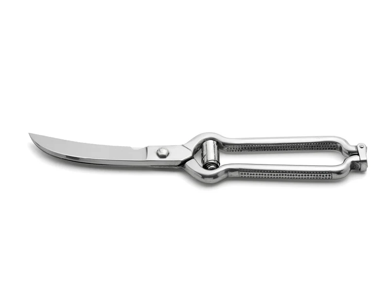 Geflügelschere Edelstahl 24,5cm