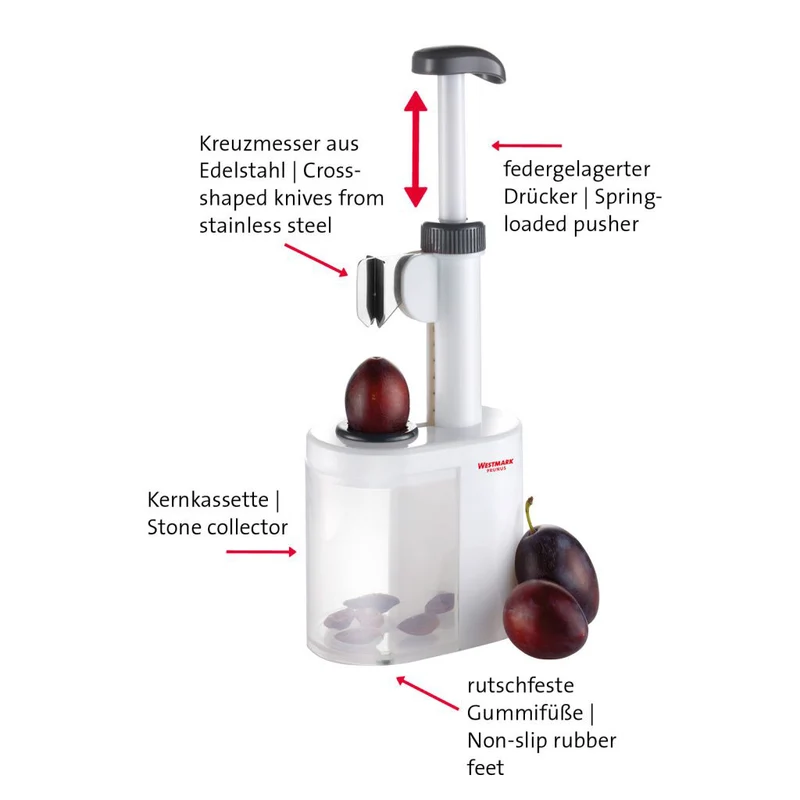 Pflaumenentsteiner Prunus