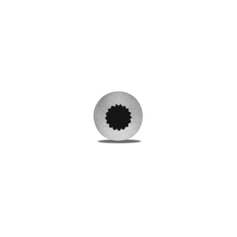 Fein gezackte Sterntülle Edelstahl 10mm