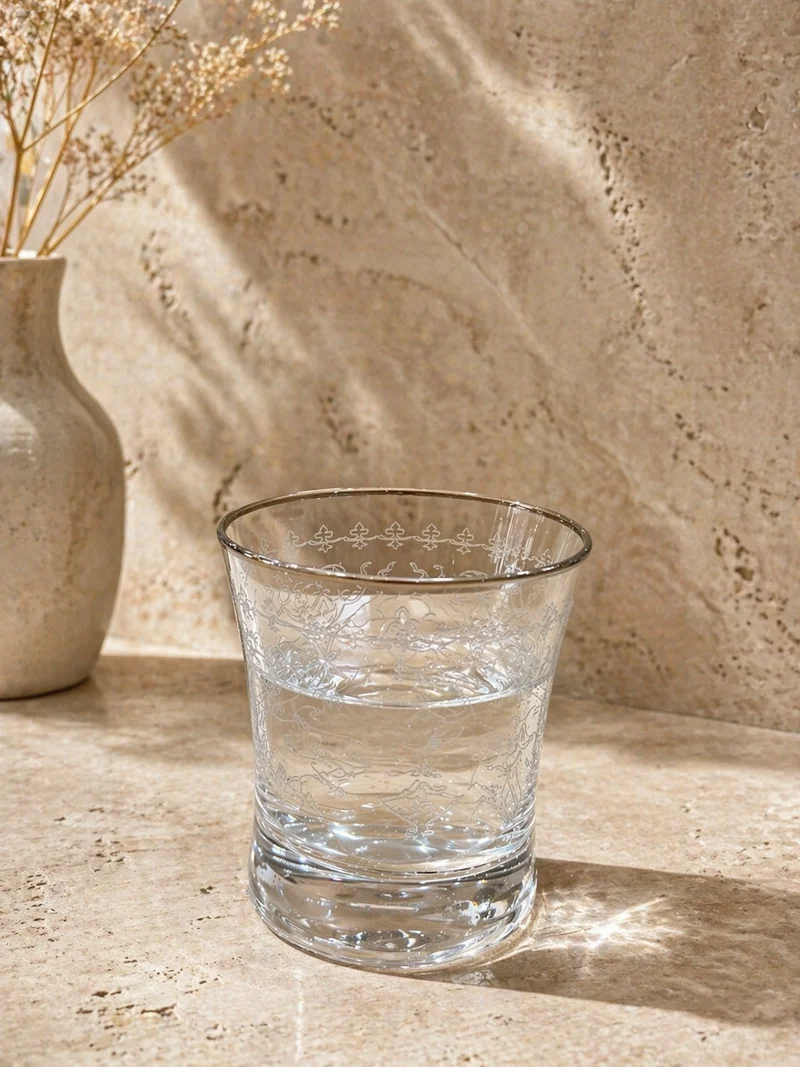 ESCO BUTIK DRINK GLAZEN ZILVER ( 6 DELIG )