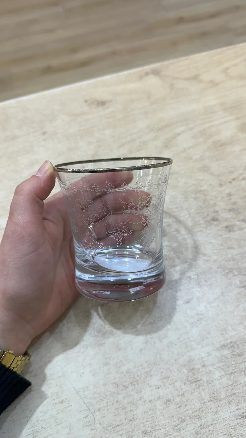 ESCO BUTIK DRINK GLAZEN ZILVER ( 6 DELIG )