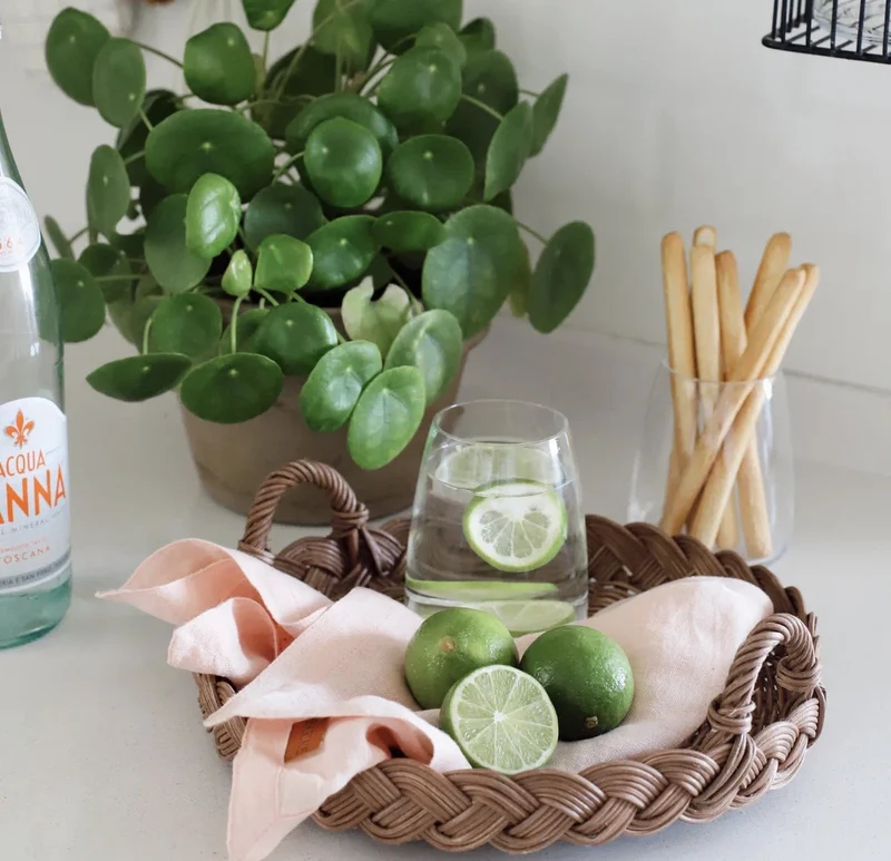 RATTAN 25CM DIENBLAD MET HANDVATTEN
