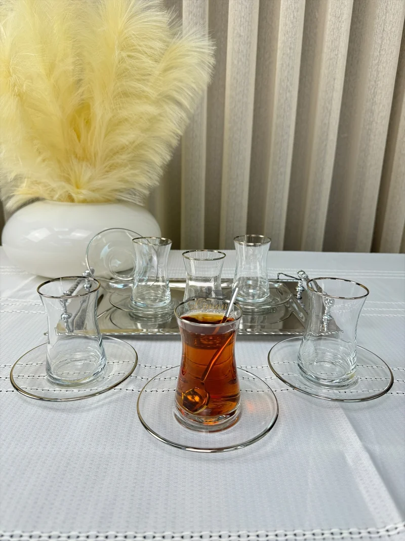 Esco Theeset Zilver 12 Delig | 6 Persoons