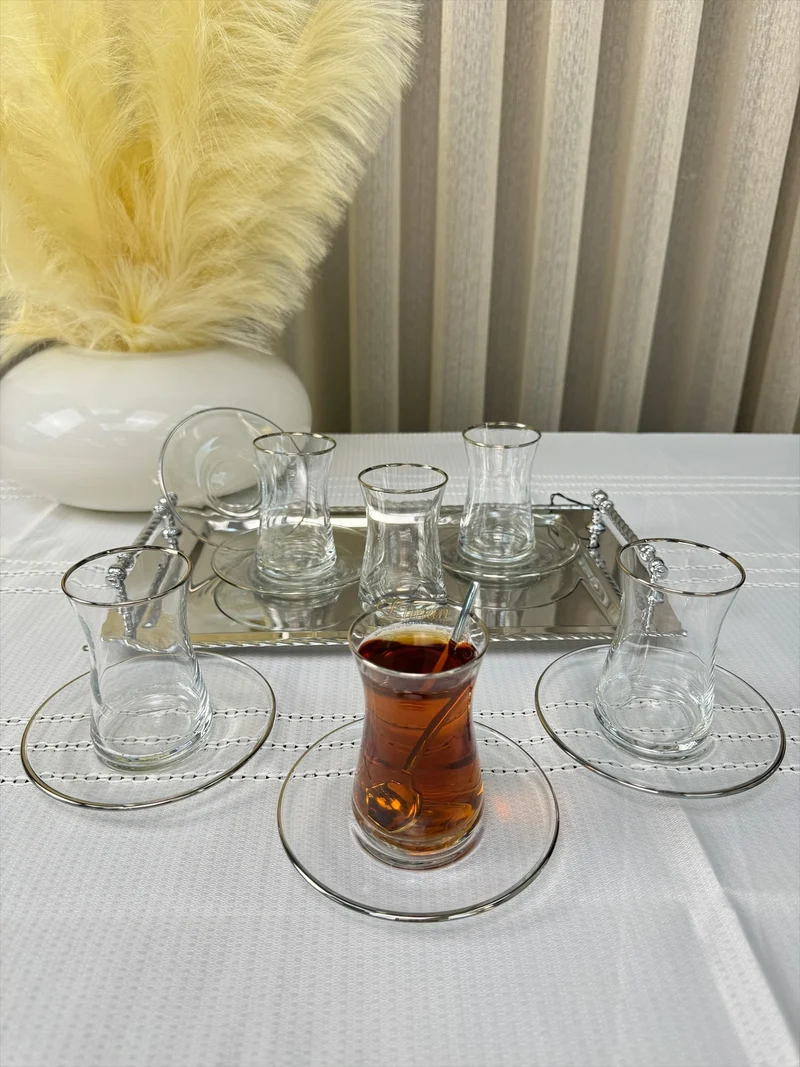 Esco Theeset Zilver 12 Delig | 6 Persoons