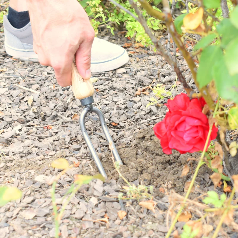 Handliche Rosengabel mit 14 cm ergonomischem Eschenholzgriff und Zinken aus hochwertigem Stahl - echte Handarbeit aus Deutschland