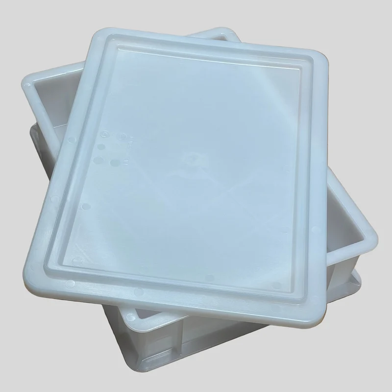 Pizzaballen Box mit Deckel, Gärbox für Pizza und Brot, 40x30x10 cm