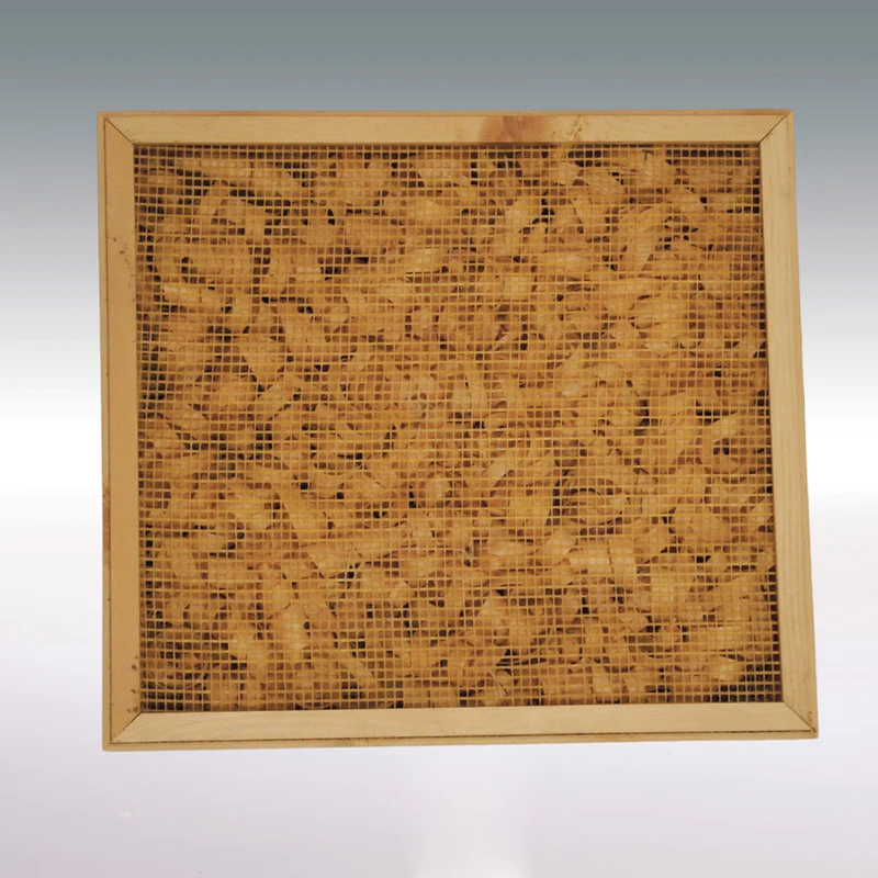 Nachhaltige Klimabox 'Fresh & Free' | aus Zirbenholz | B 40 x T 40 x H 66 cm | Made in Austria