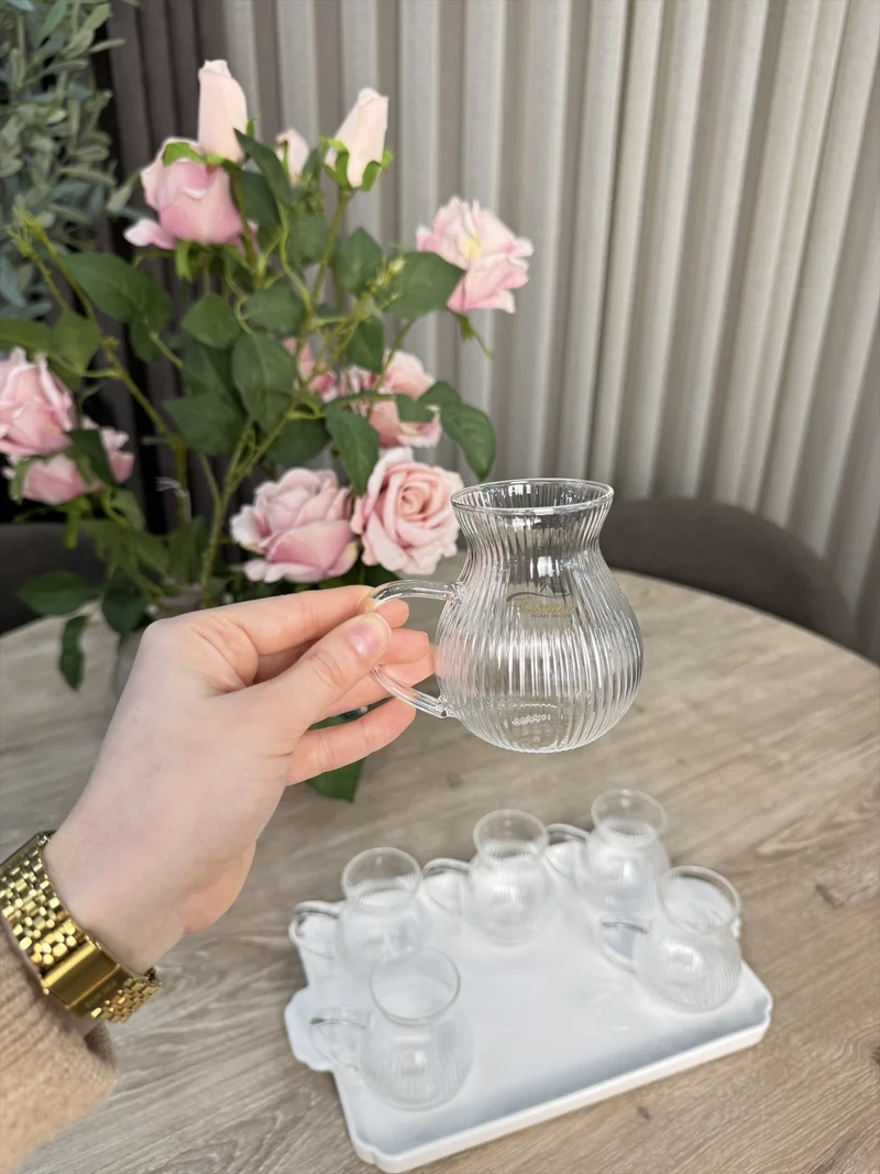Ribbled Tombik Borosilikat Theeglazen met Handvat 6 Delig 200 ml