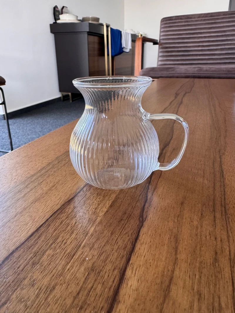 Ribbled Tombik Borosilikat Theeglazen met Handvat 6 Delig 200 ml