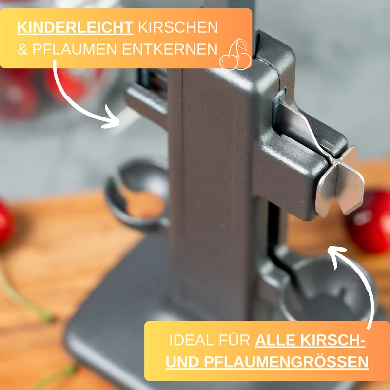 Thiru Steinex Combi – Kirsch- & Pflaumenentsteiner, schnell & sauber, Black Edition