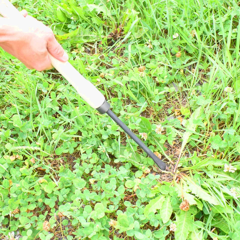 Unkrautstecher DM 10 mm mit 48 cm Eschenholzstiel Gesamtlänge: 70,5 cm Gewicht: 350 gr - Handgeschmiedet in Deutschland