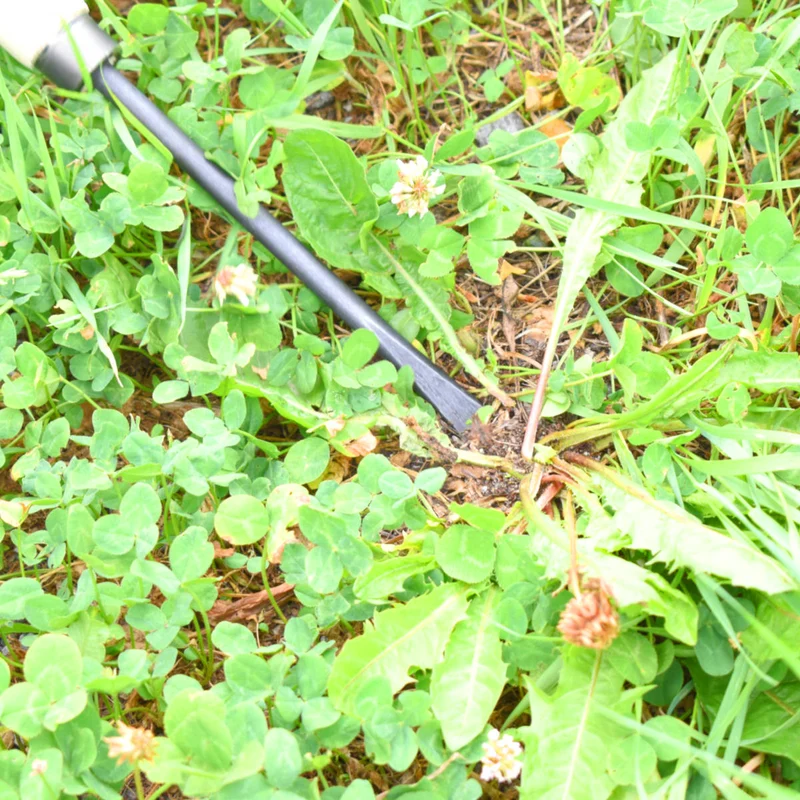 Unkrautstecher DM 10 mm mit 48 cm Eschenholzstiel Gesamtlänge: 70,5 cm Gewicht: 350 gr - Handgeschmiedet in Deutschland