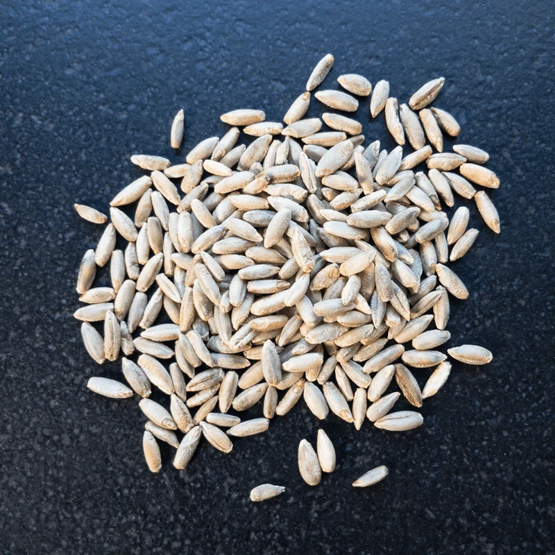 Bio-Roggen Flocken 1 Kg