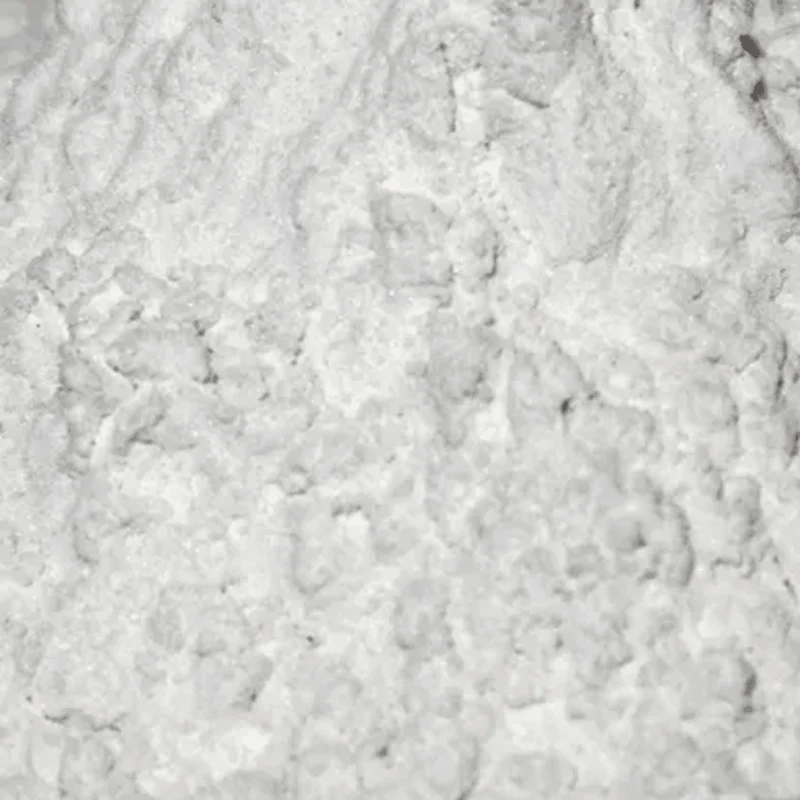Pfeilwurzelmehl, 100 g im Aromabeutel