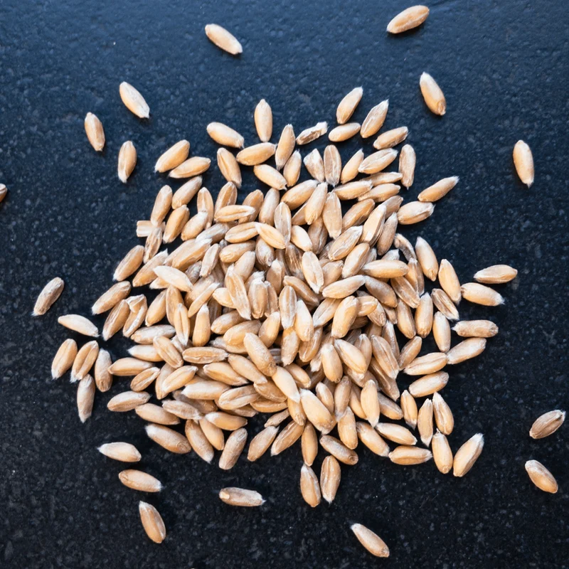 Bio-Dinkel ganz