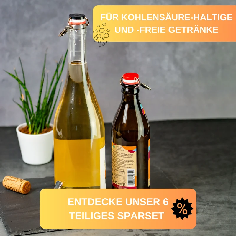 Thiru Flaschenverschluss 3er Set mit Hebel und Silikondichtung aus rostfreiem Stahl zum Verschließen von Kronkorkenflaschen