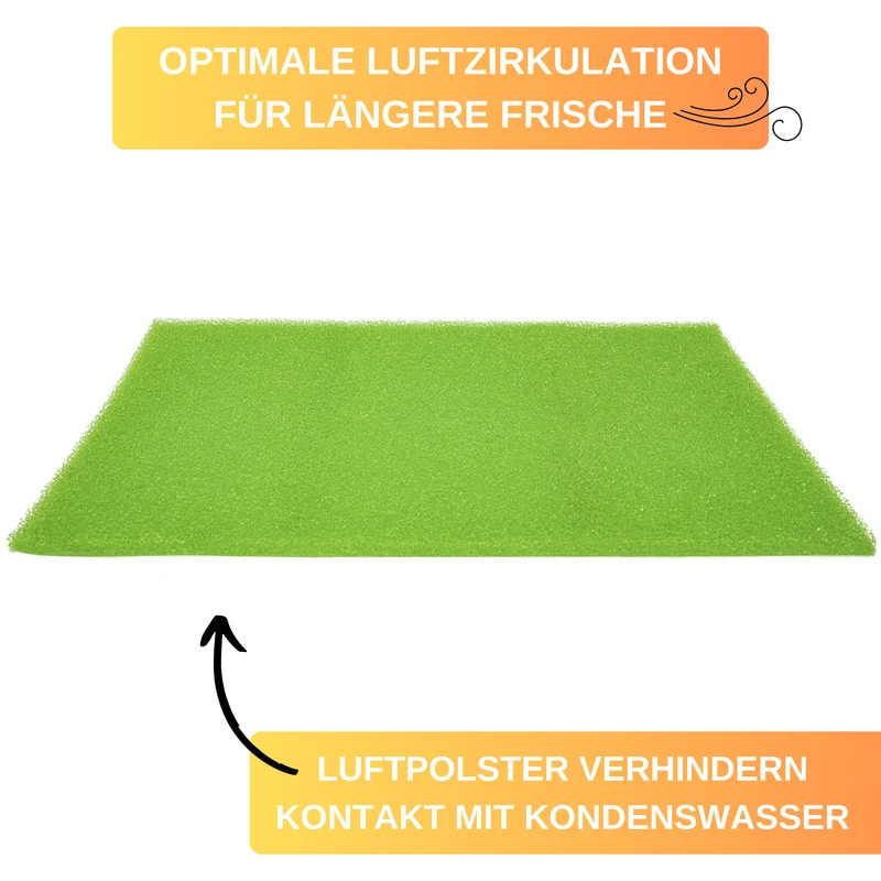 Thiru 2 Kühlschrankmatten für hygienische, drucklose Lebensmittel Lagerung, antibakteriell