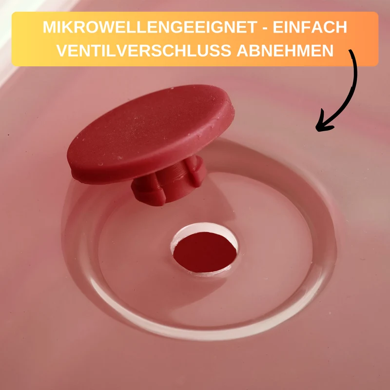 Thiru Frischhaltedose faltbar, eckig, mikrowellengeeignet, tiefkühlgeeignet