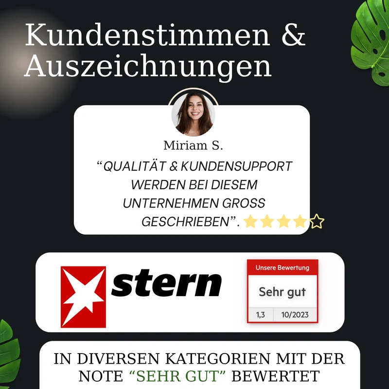 Thiru Nussknacker mit edlem Holzgriff - Ideal für Walnüsse - Knacken ohne Kernzerquetschung - Walnussknacker
