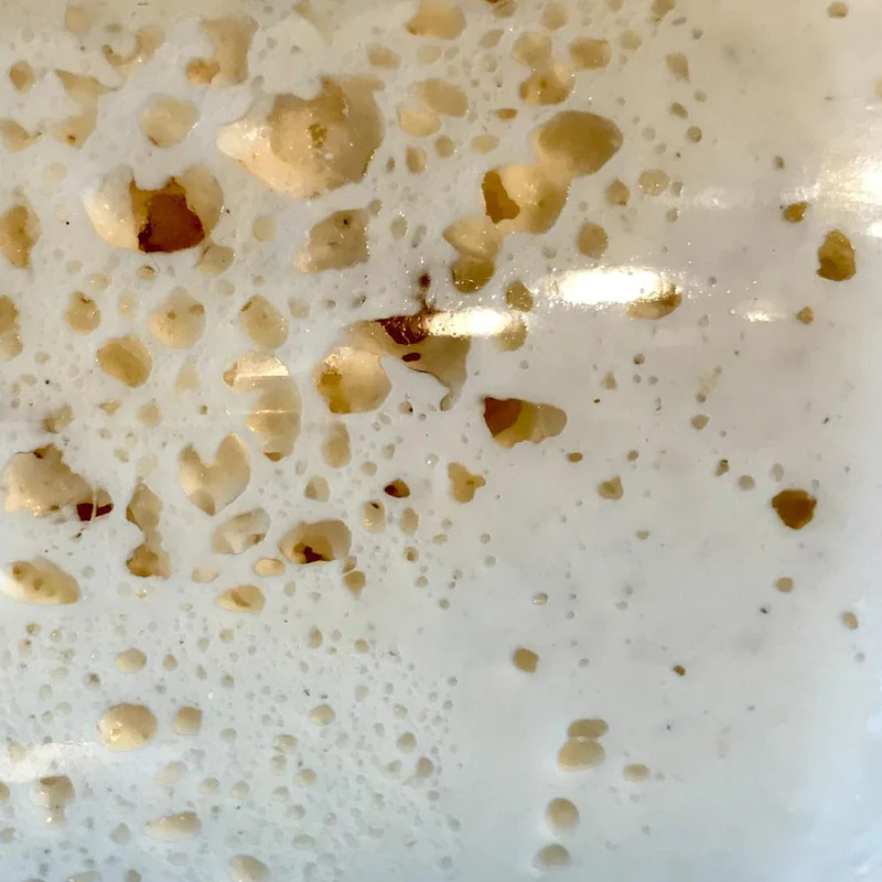 Sauerteig Anstellgut Lievito Madre